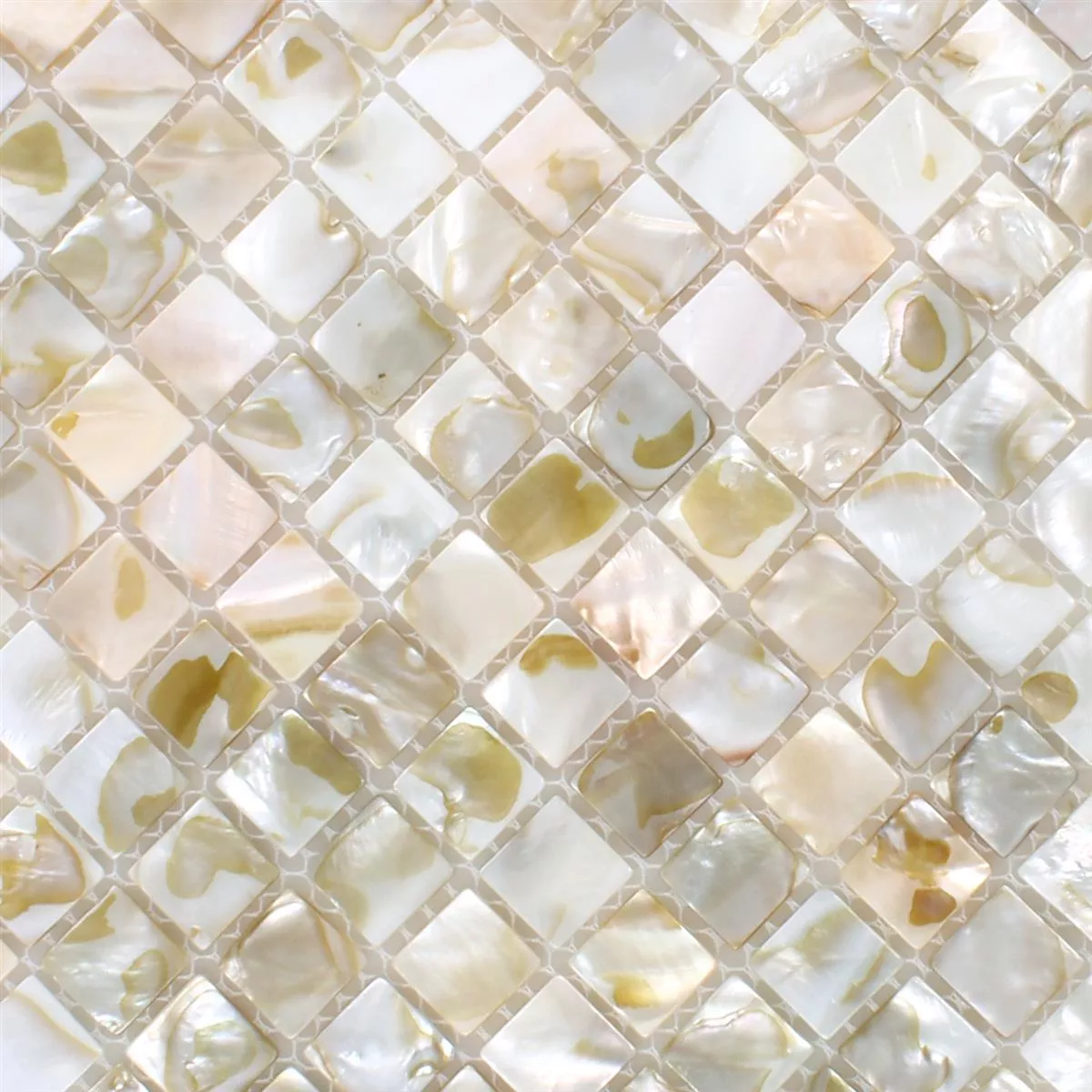 Mosaico Cozze Kordon Beige Chiaro
