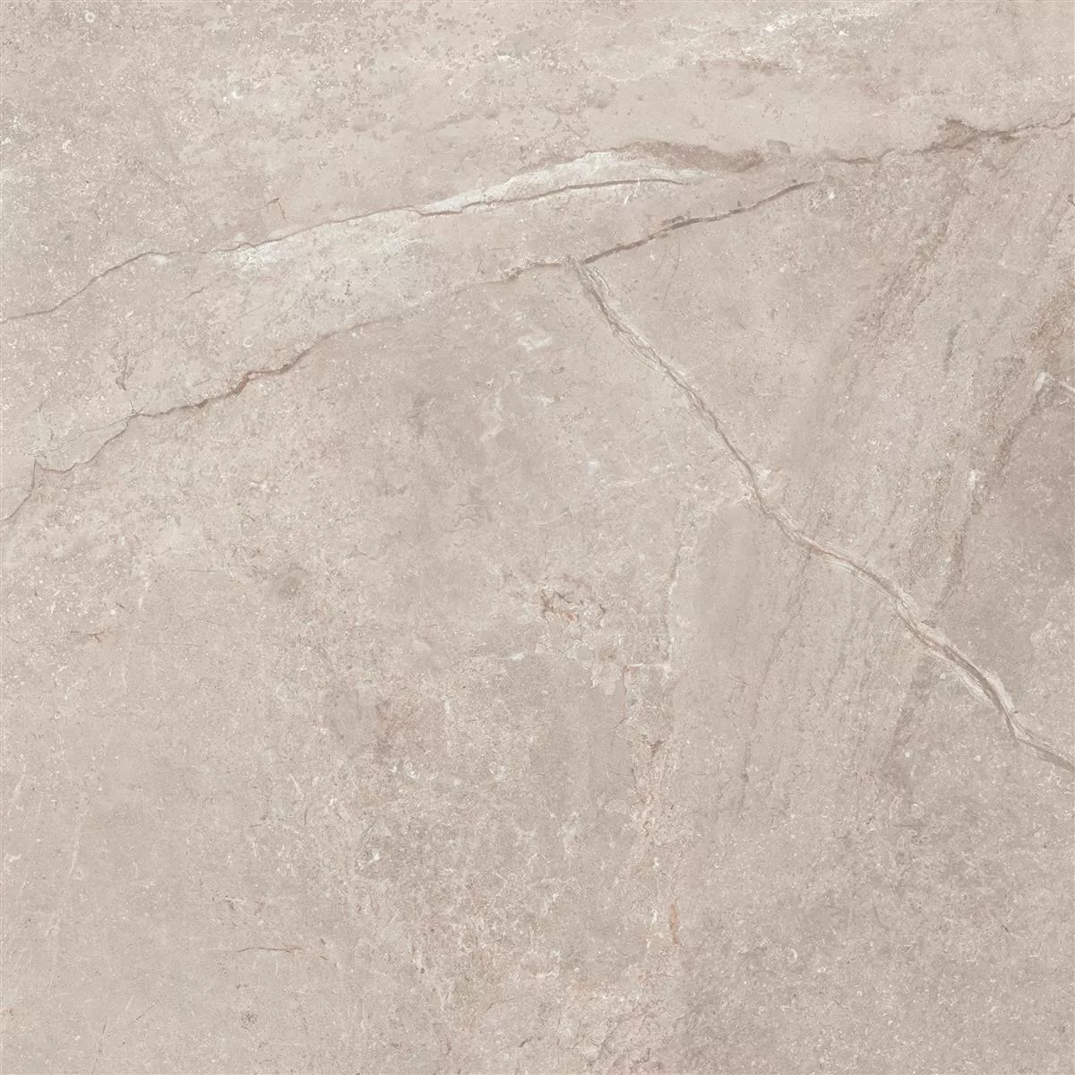 Carrelage Sol Et Mur Pangea Marbre Optique Mat Beige 60x60cm