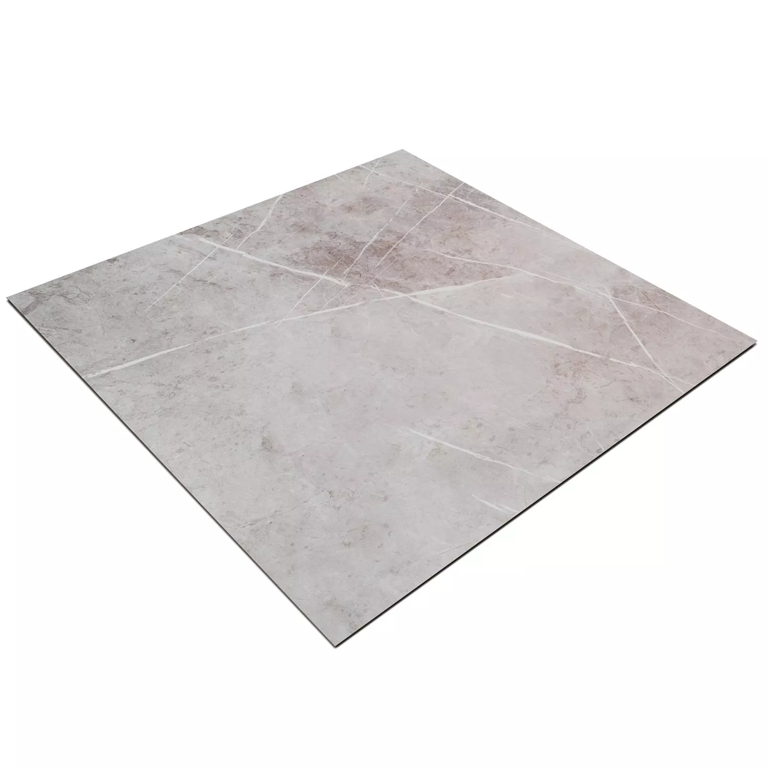 Campione Piastrelle Comfort Grigio Lucidato 58x58cm