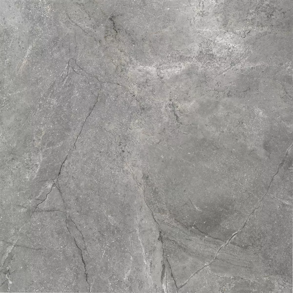 Bodenfliesen Pangea Marmoroptik Poliert Grau 120x120cm