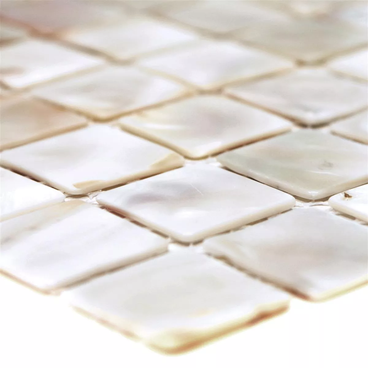 Muster von Mosaikfliesen Perlmutt Xenia Weiß