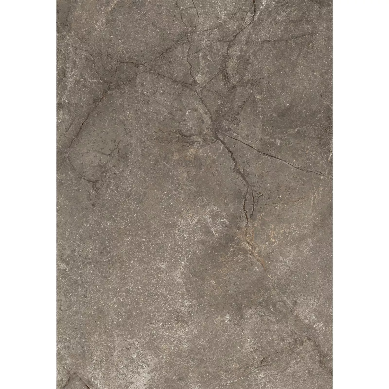 Piastrelle Noiron Opaco Lucidato Mocca 60x120cm