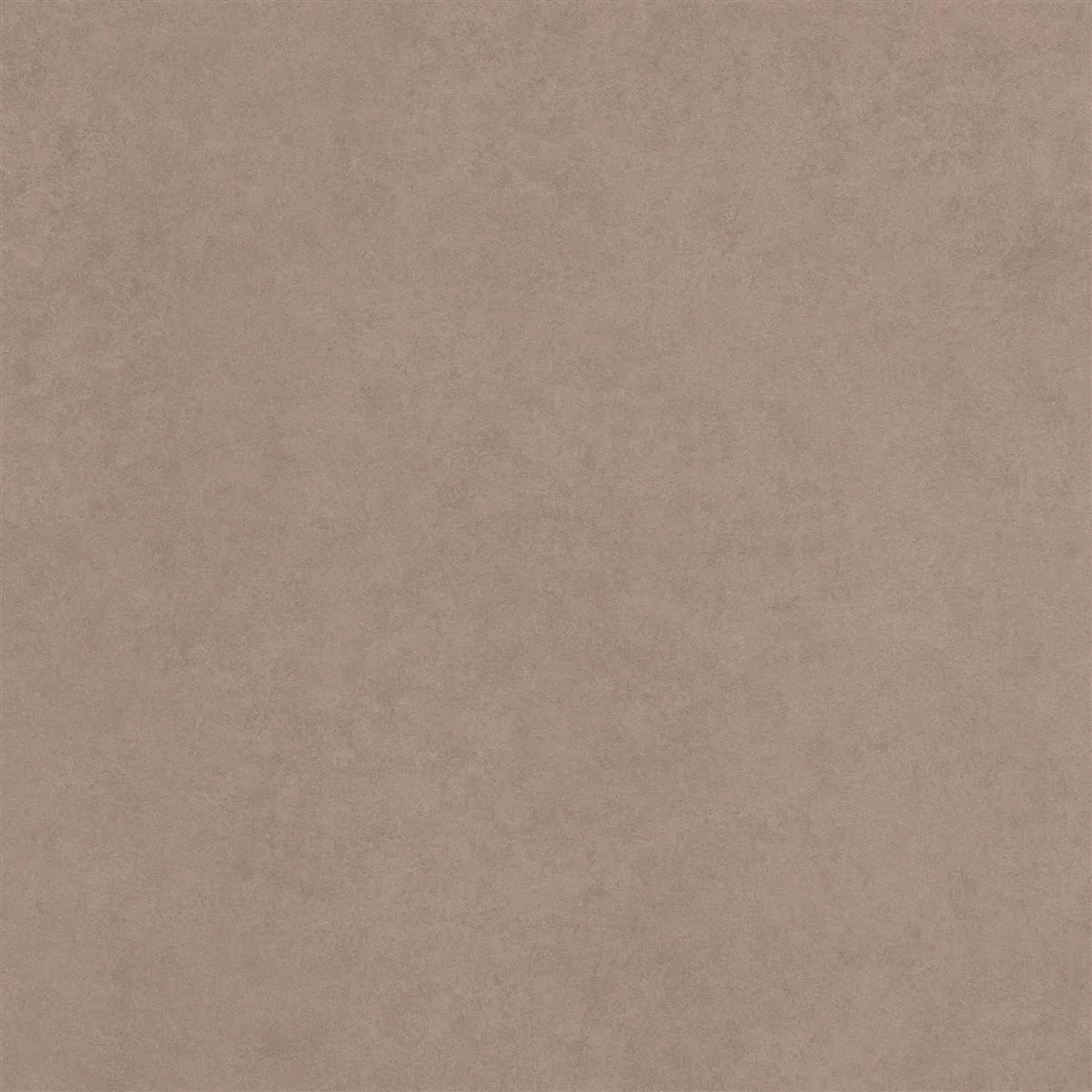 Kolossal Greige 60x60 cm