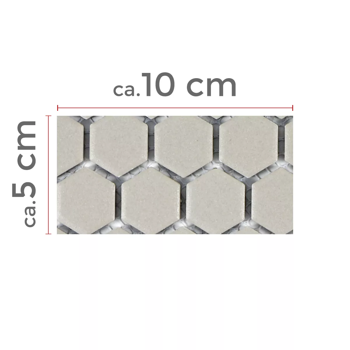 Échantillon Céramique Mosaïque Carrelage Hexagone Zeinal Non Émaillé Gris Clair R10B