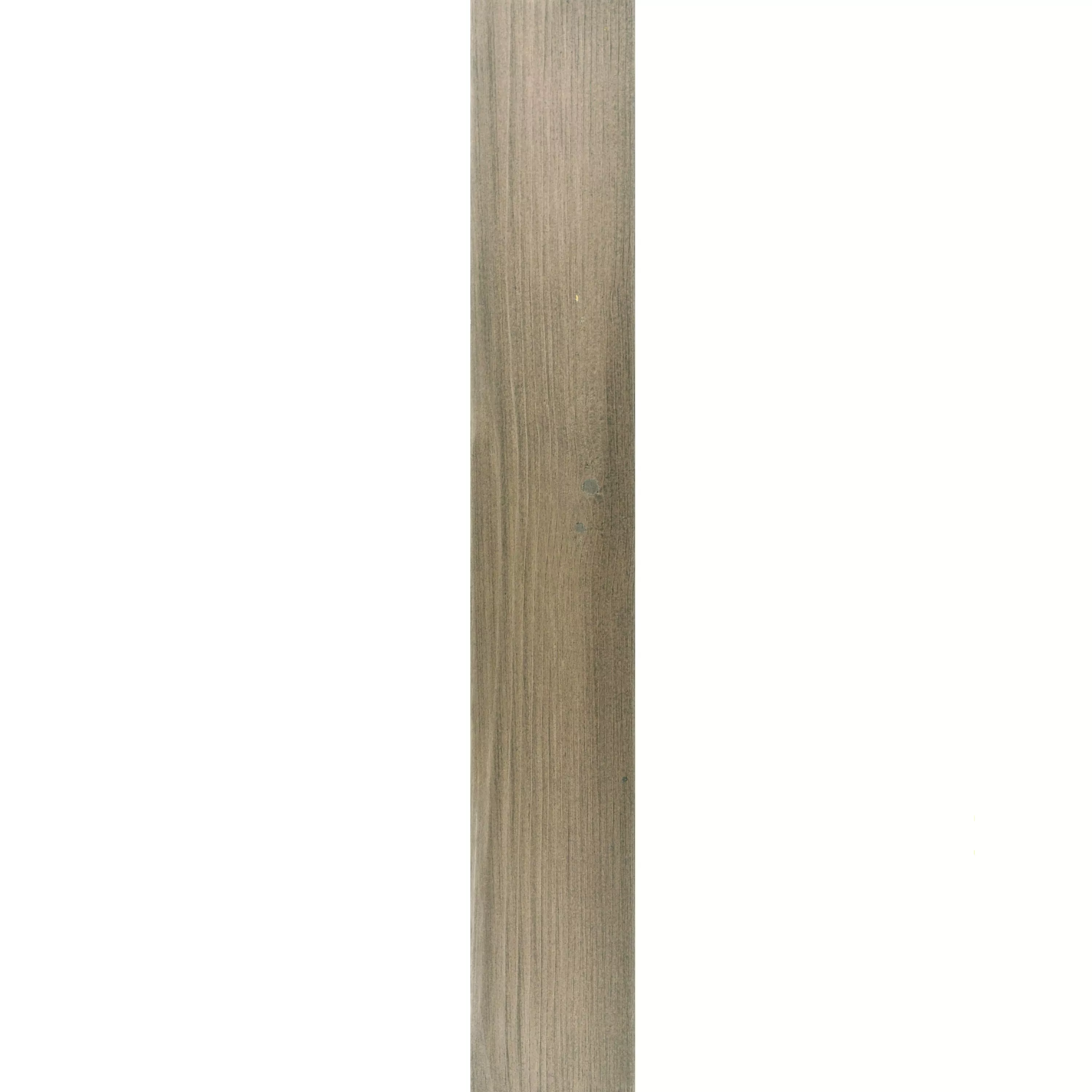 Wandpaneele aus Holz Paris Selbstklebend Beige