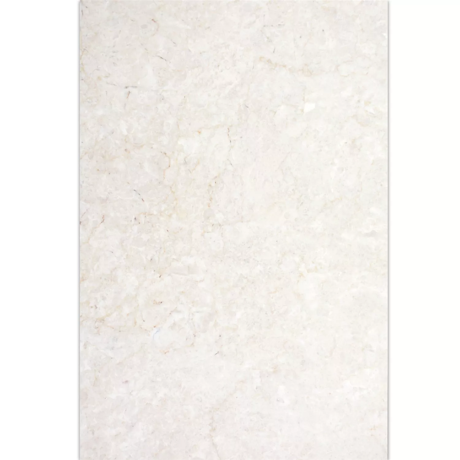 Pietra Naturale Piastrelle Marmo Afyon Beige 40,6x61cm