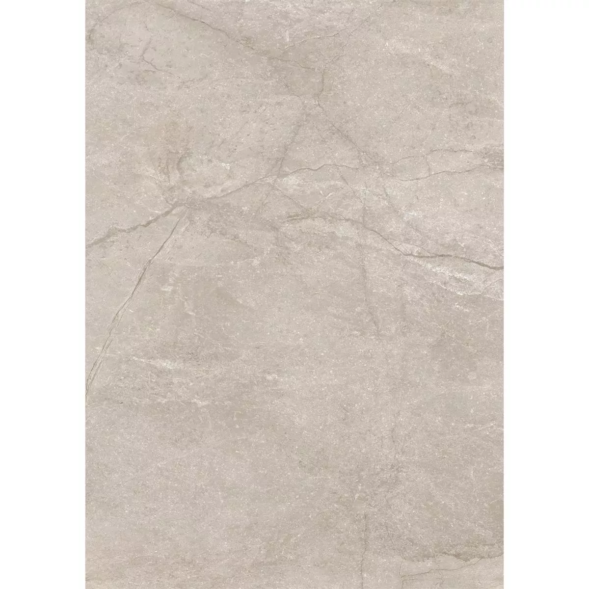 Carrelage Sol Et Mur Pangea Marbre Optique Mat Beige 60x120cm