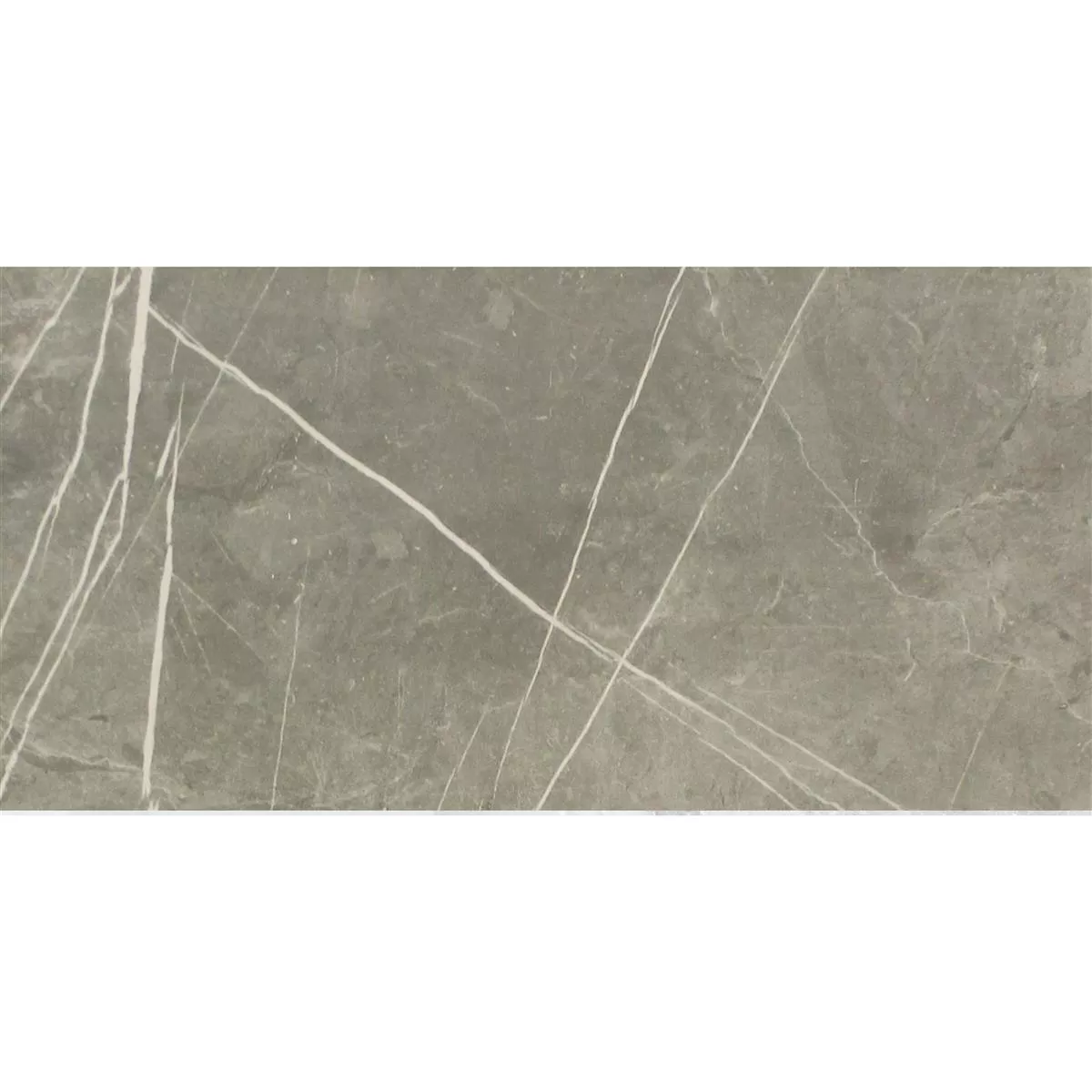 Bodenfliesen Astara Natursteinoptik Poliert Grey 30x60cm