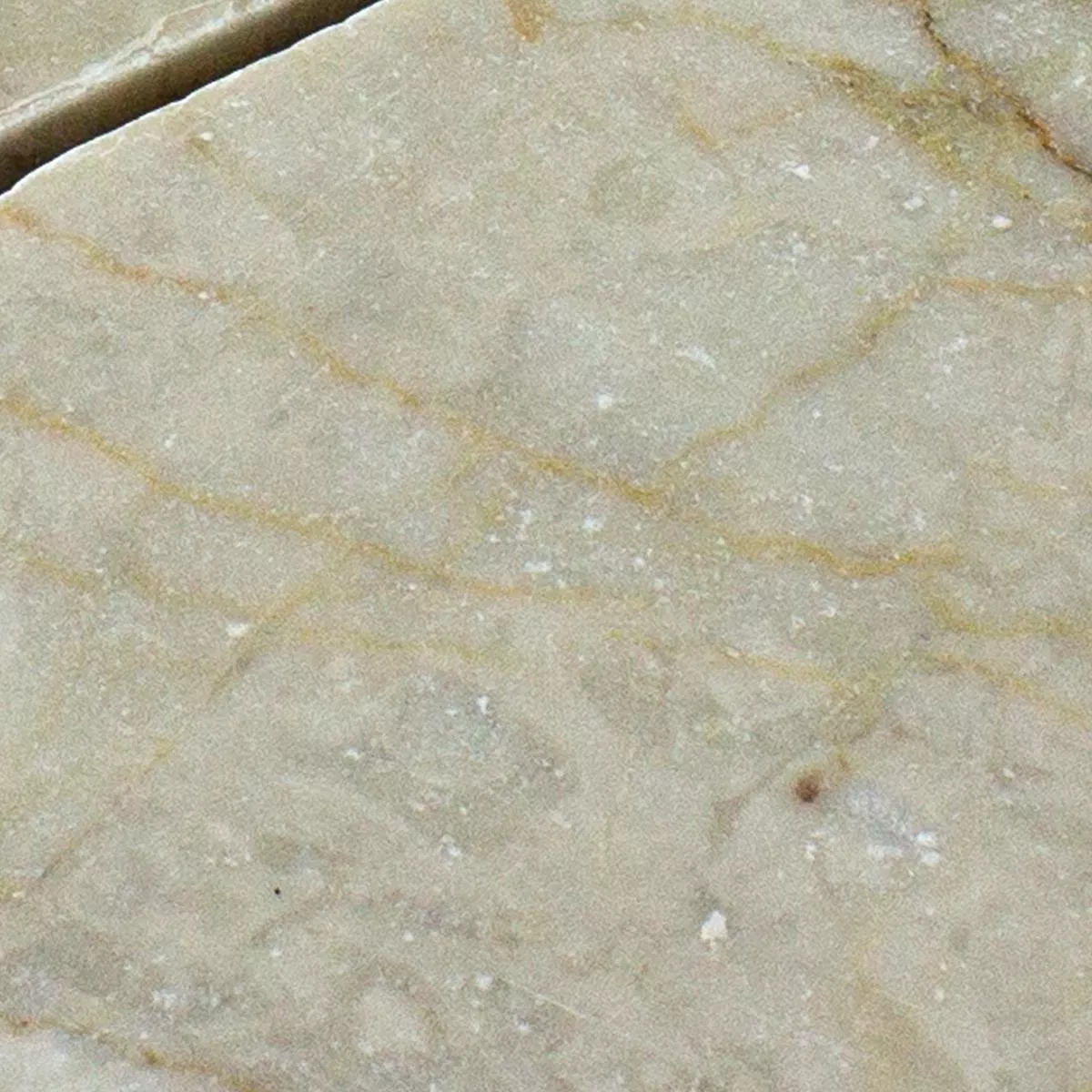 Campione Marmo Pietra Naturale Mosaico Maracay Esagono Botticino