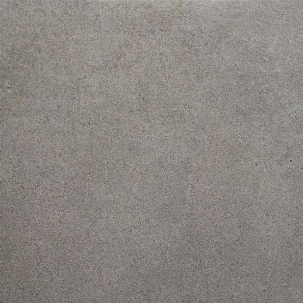 Terrassenplatten Alliance Betonoptik 60x60cm Grau