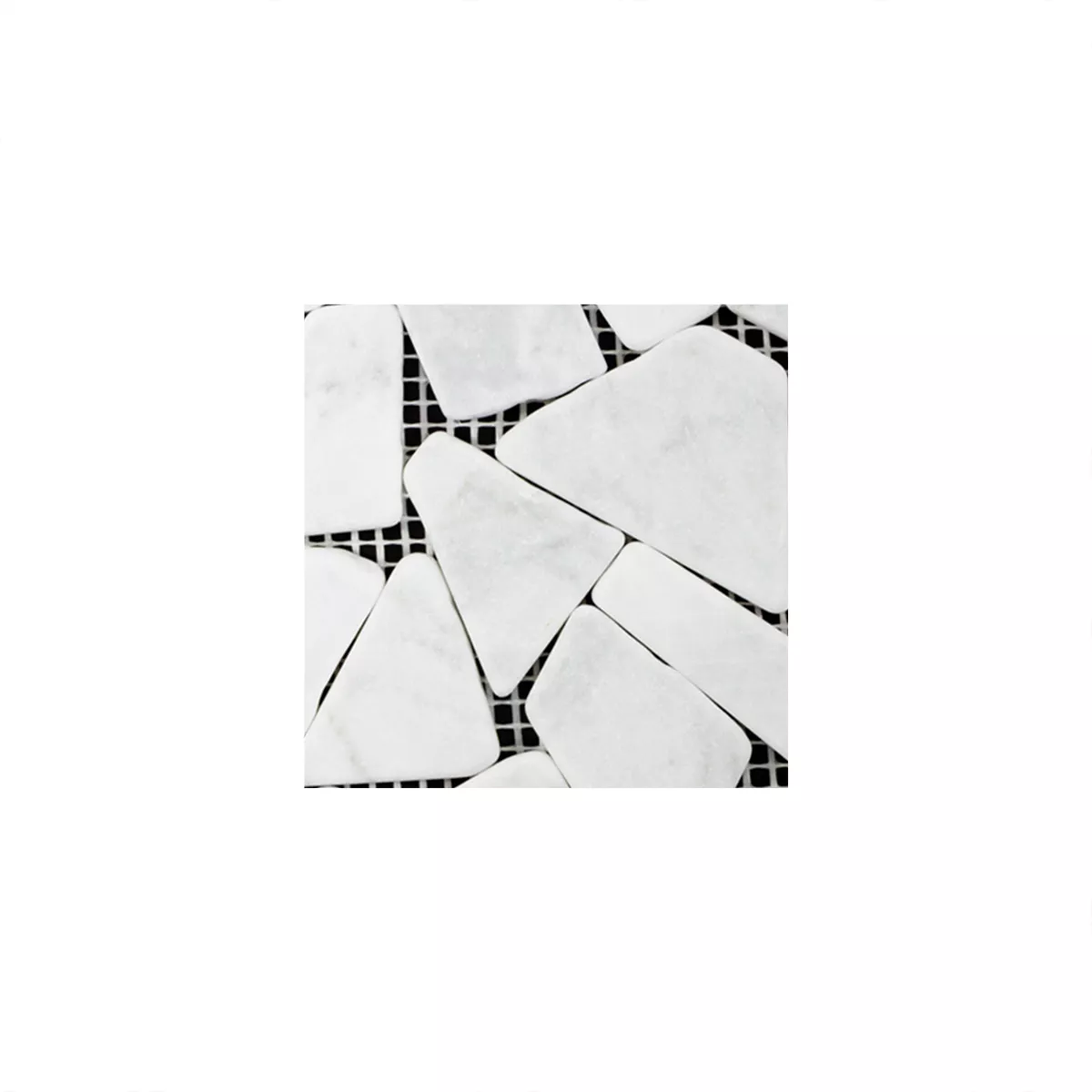 Campione Marmo Rotte Mosaico Mareblu Carrara Bianco