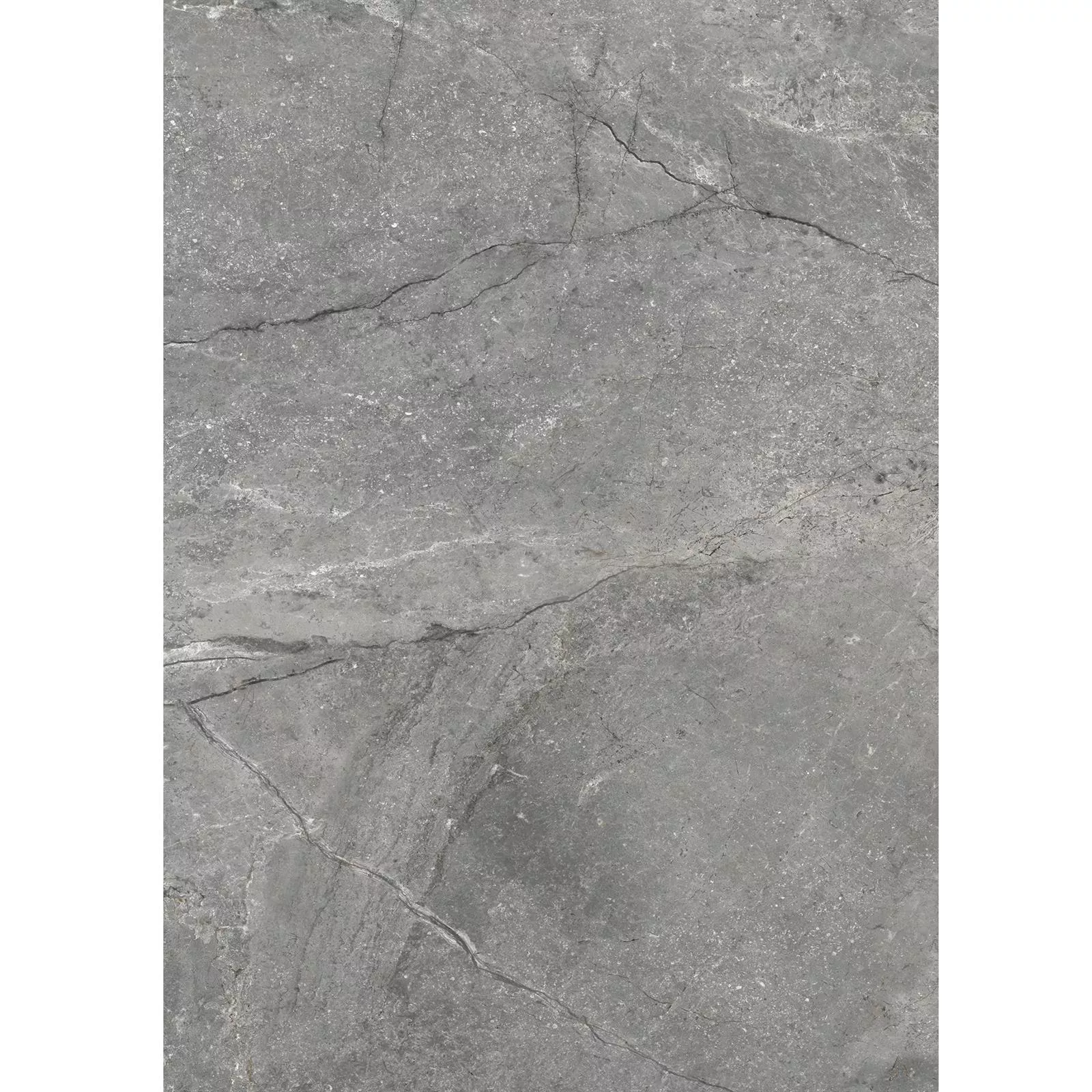 Muster Bodenfliese Noiron Matt Poliert Grau 60x120cm