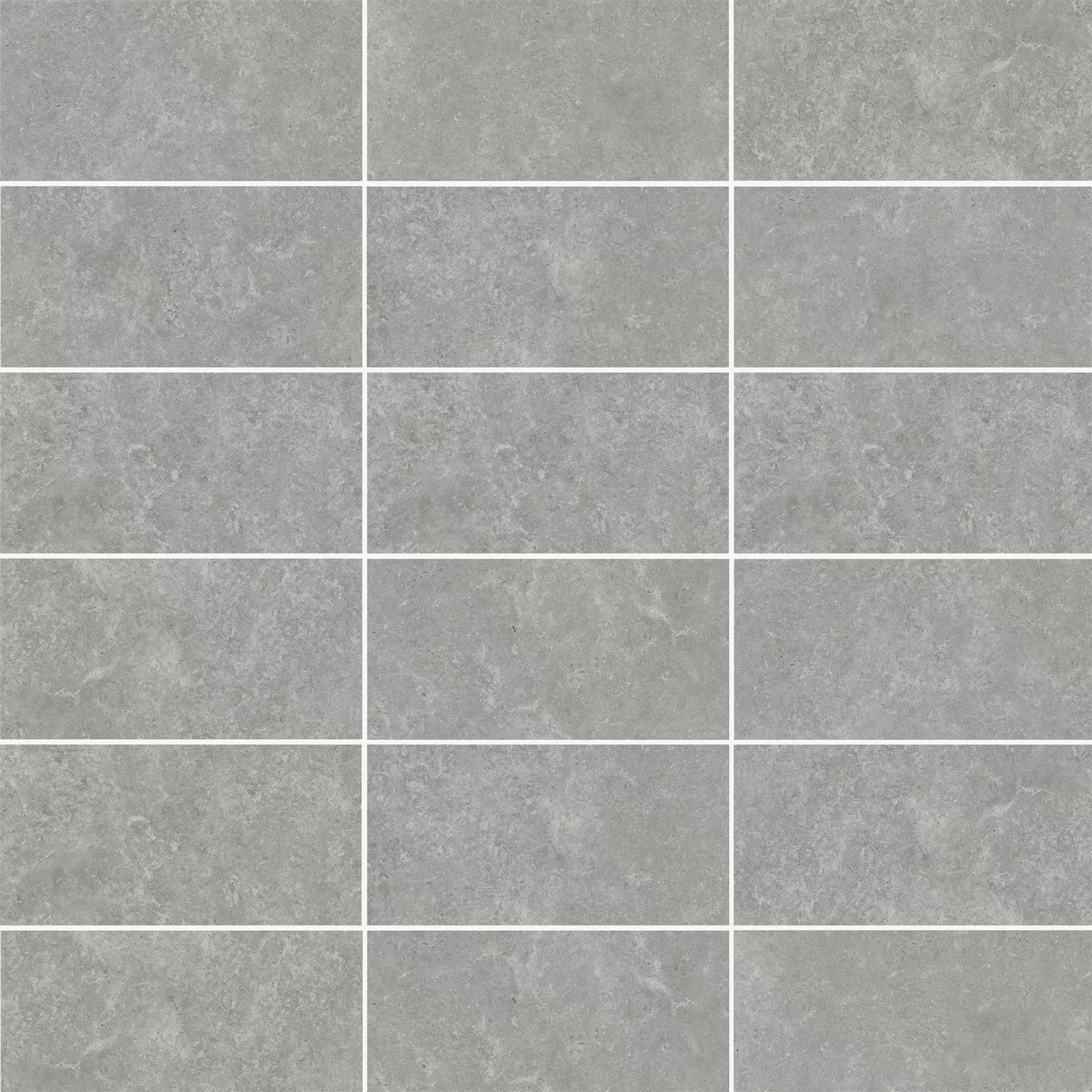 Muster Terrassenplatten Corroy Grau 45x90x2cm