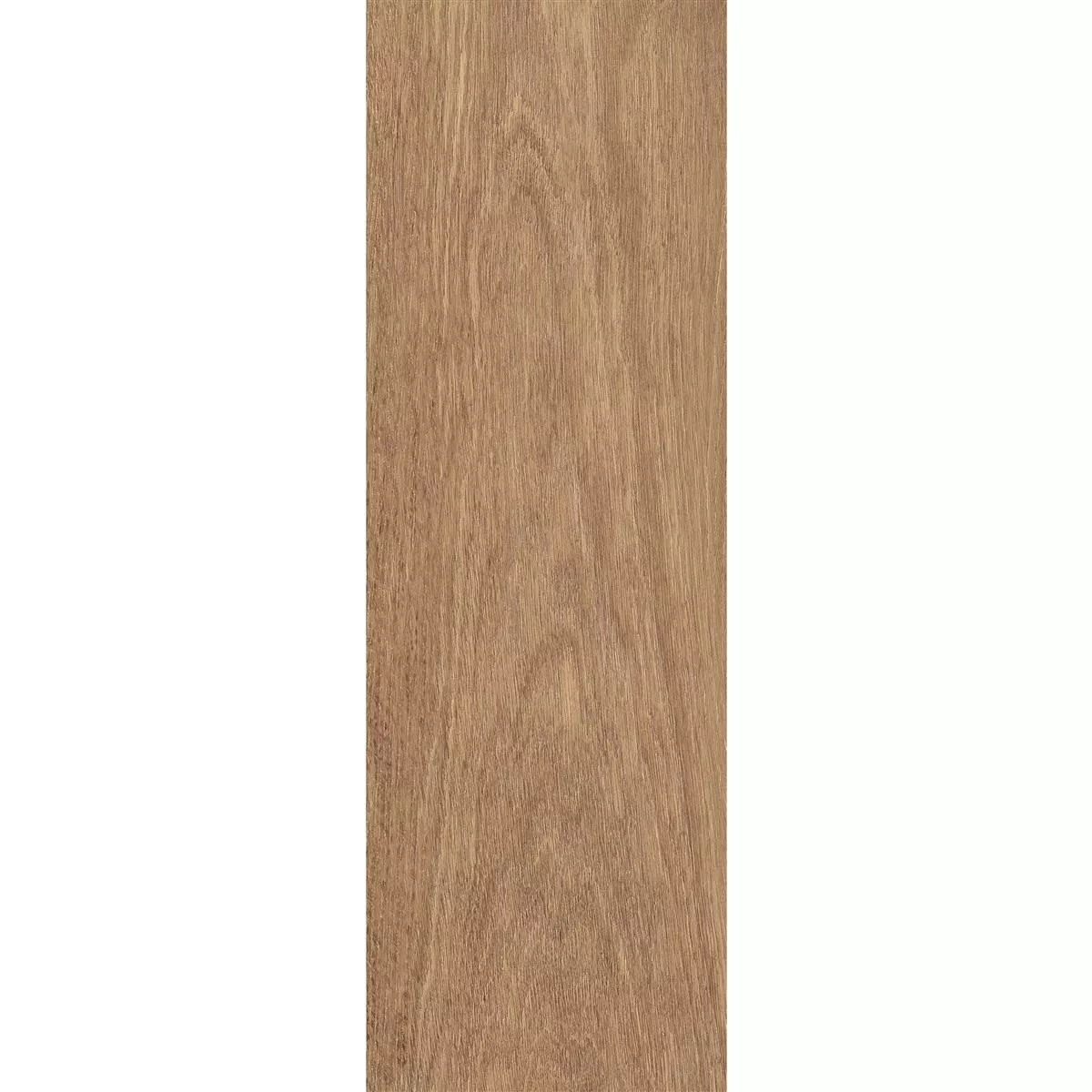 Bodenfliese Feinsteinzeug Holzoptik Malente Oak 20x120 cm Bodenfliese Feinsteinzeug Holzoptik Malente Oak 20x120 cm