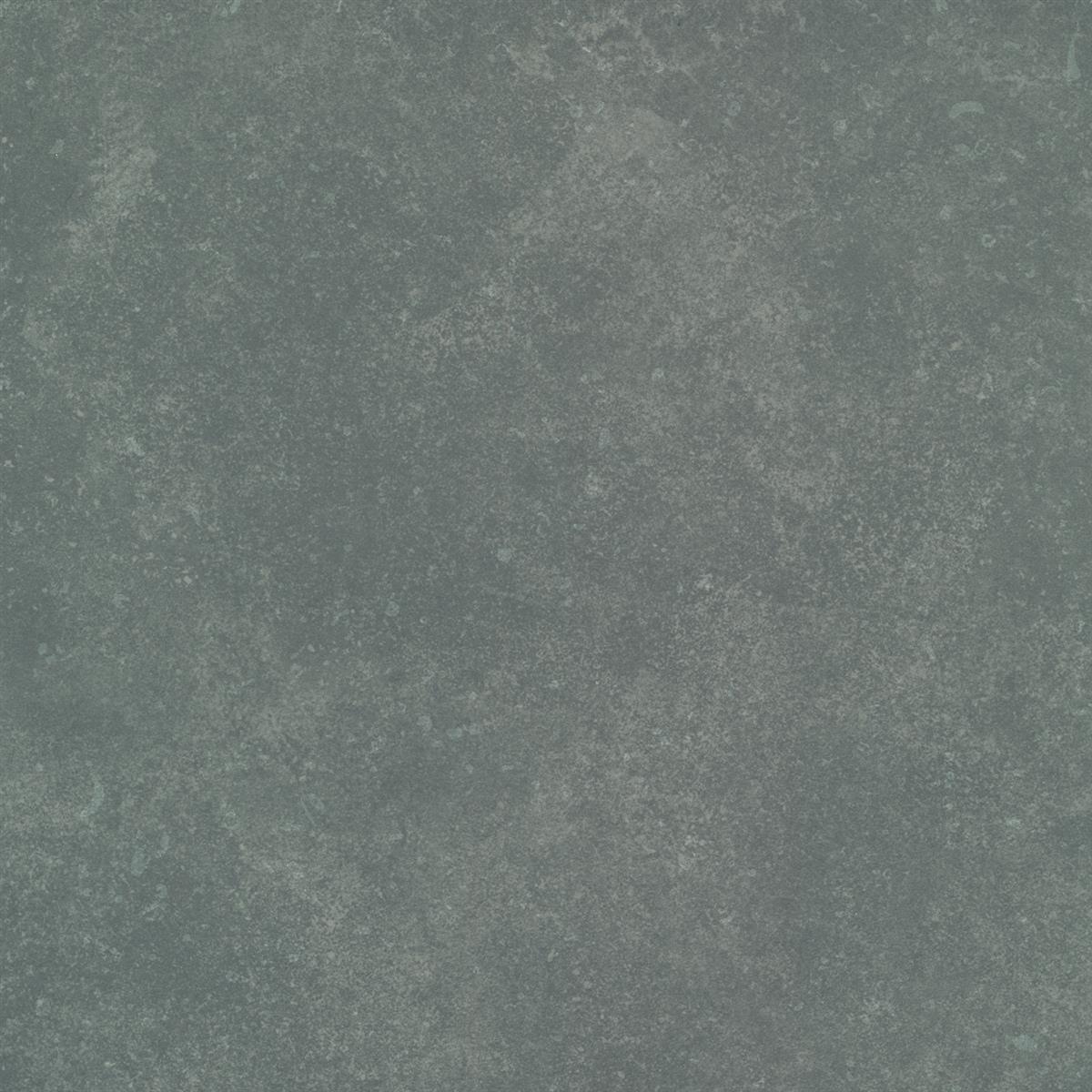 Terrassenplatten Wilhelm Kalksteinoptik Grau 60x60cm