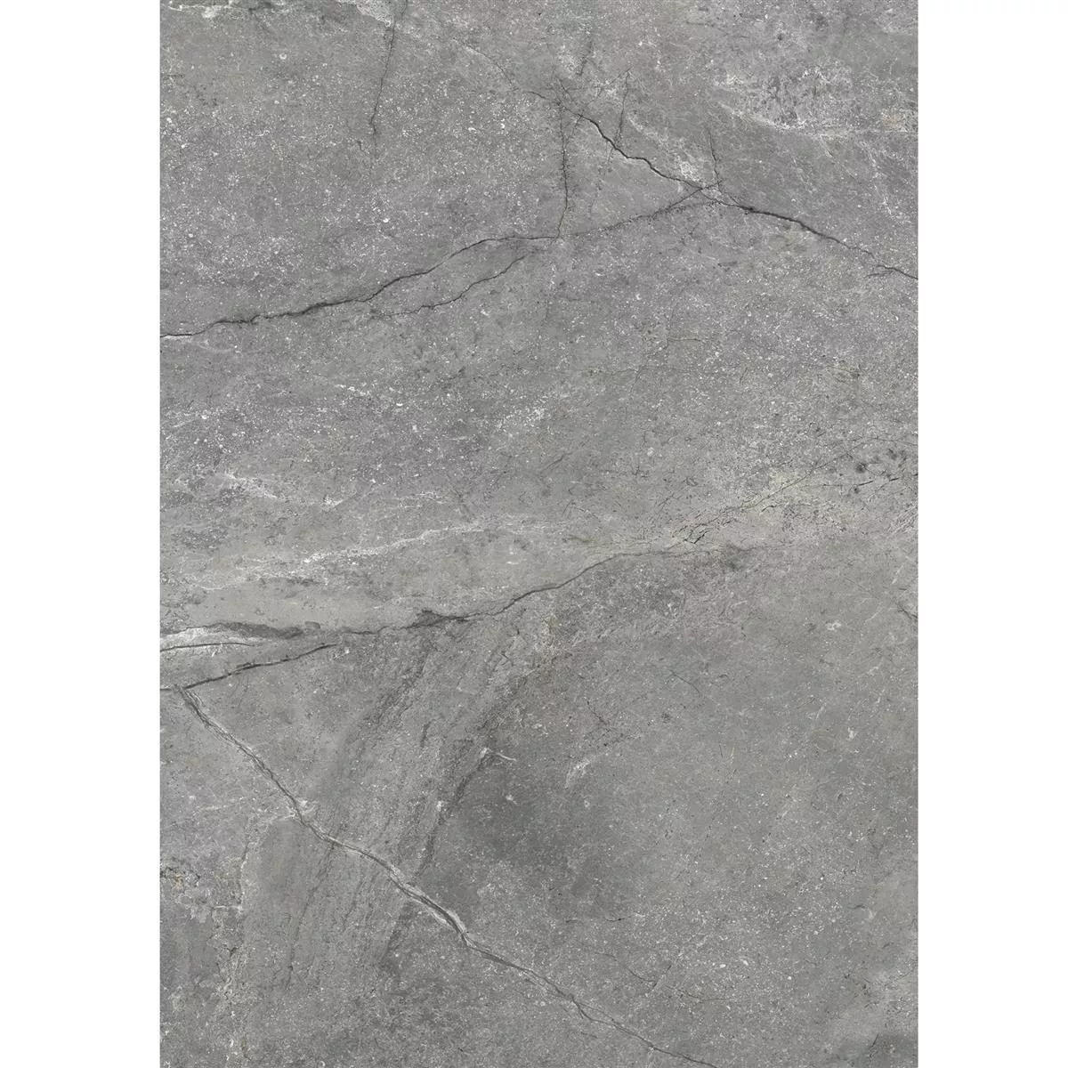 Muster von Bodenfliesen Pangea Marmoroptik Matt Grau 60x120cm