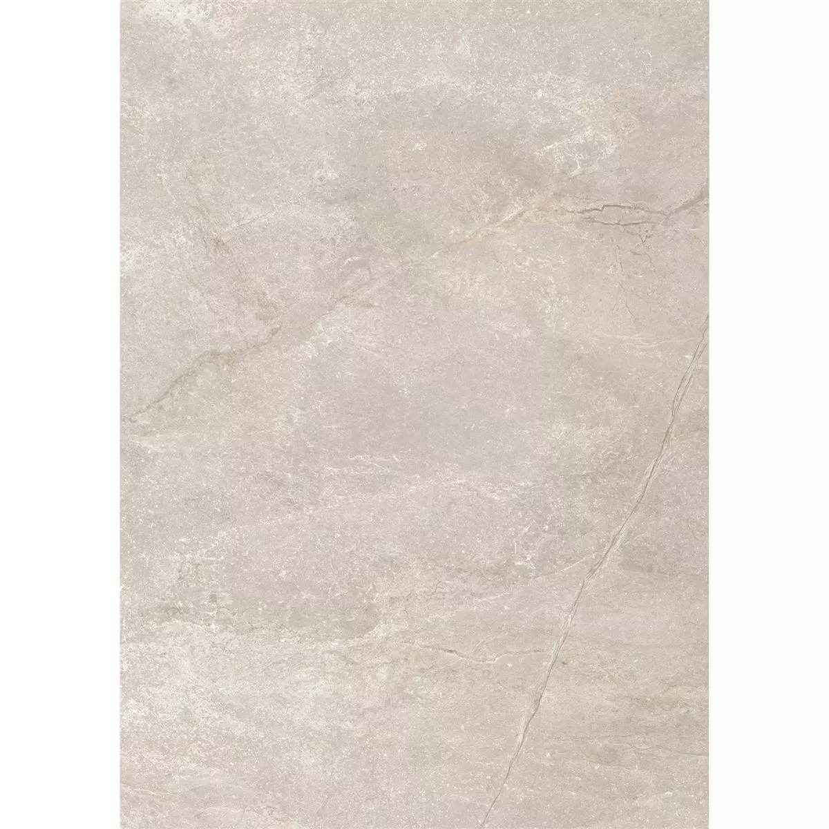 Carrelage Sol Et Mur Pangea Marbre Optique Mat Beige 60x120cm