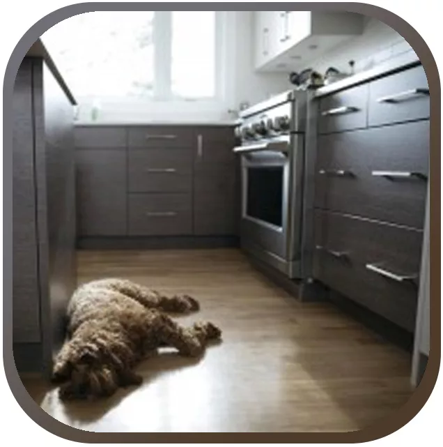 Vinyl Designboden Fliesen Vinyl Designboden Fliesen