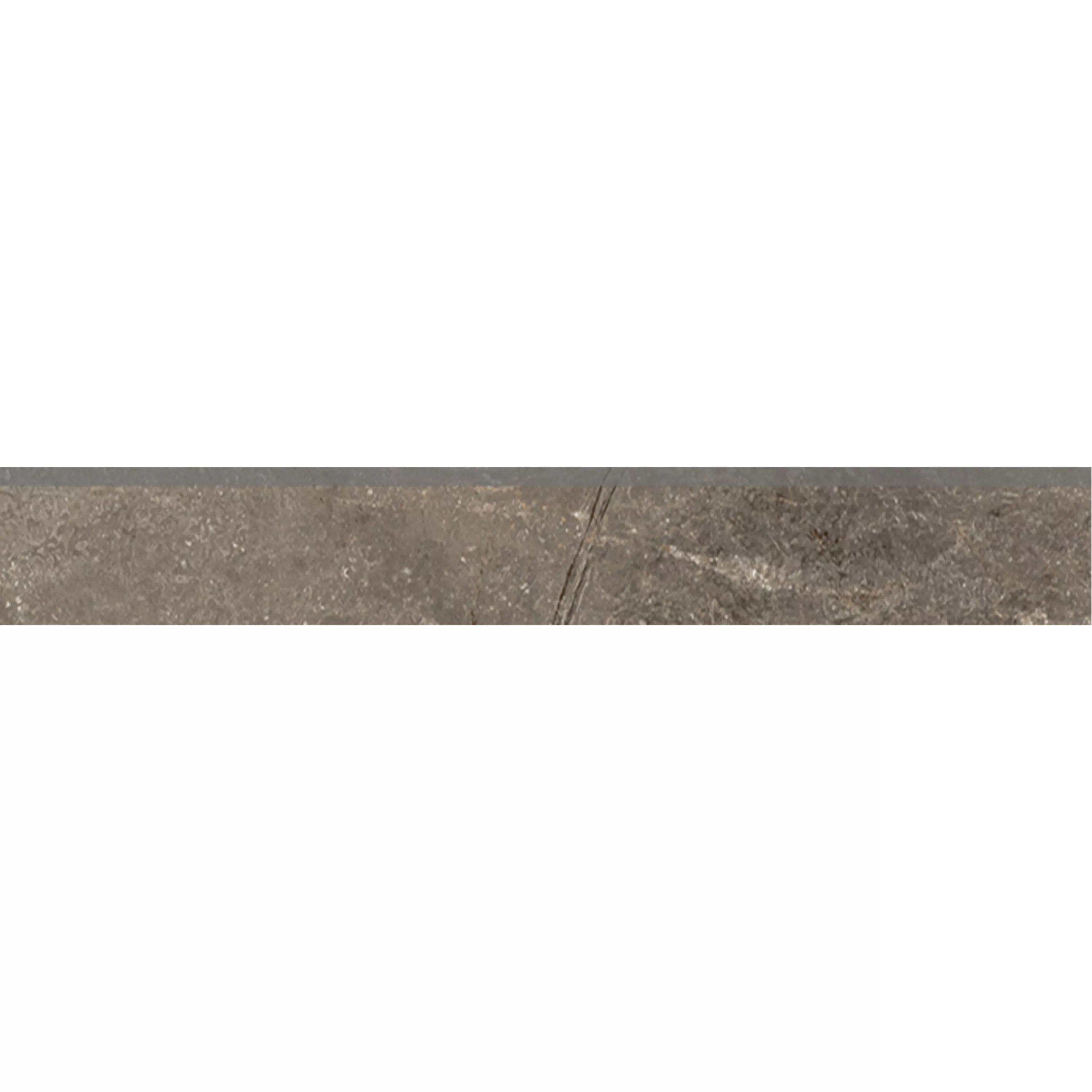 Bodenfliesen Pangea Marmoroptik Matt Mokka Sockel 7x60cm