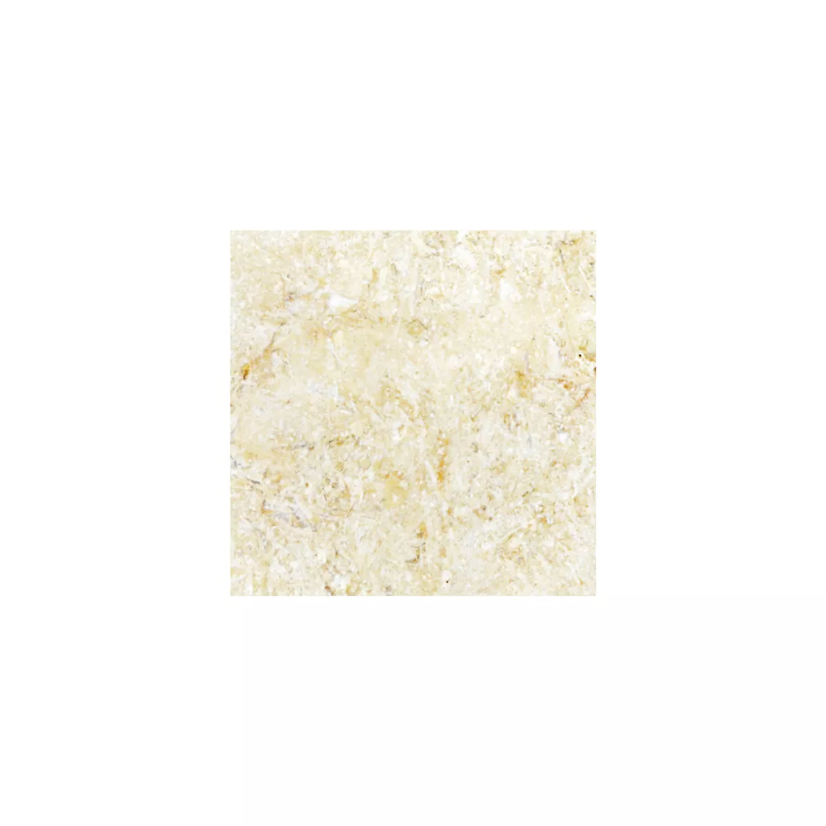 Muster Natursteinfliesen Limestone Garbagna Beige 10x10cm