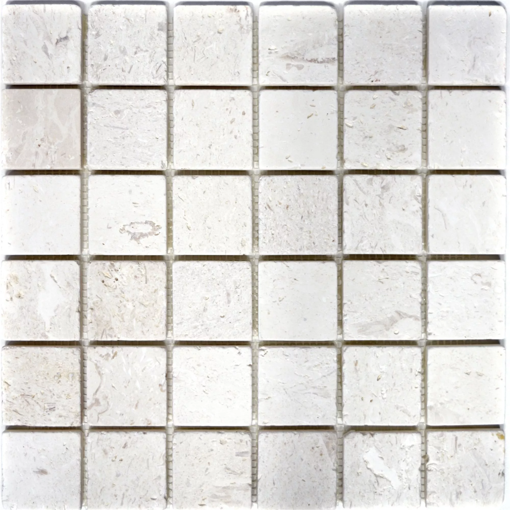 Mosaico Calcare Allerona Bianco 48