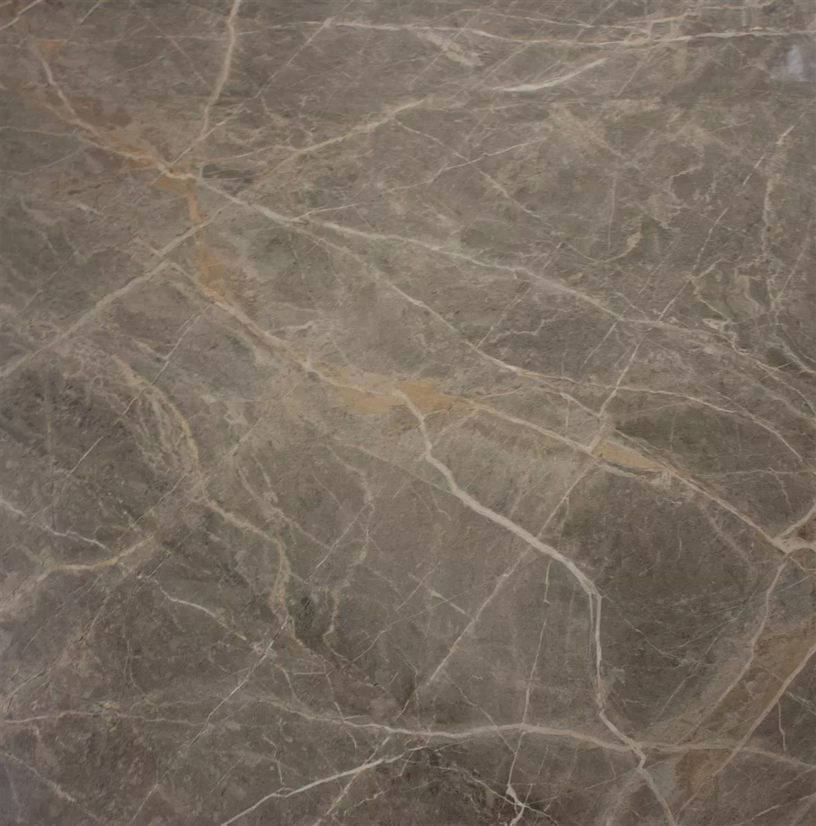 Bodenfliese Zeven Grau Beige Gold Schieferoptik 60x60cm