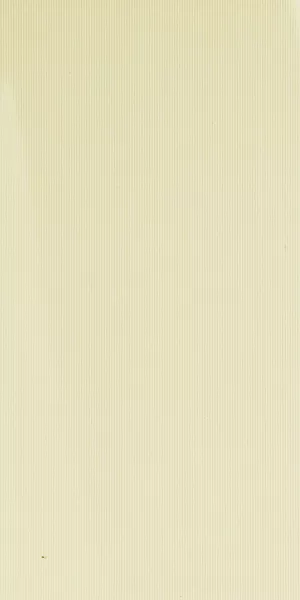 Campione Rivestimenti Ronisa Beige Lucida Striscia 30x60cm