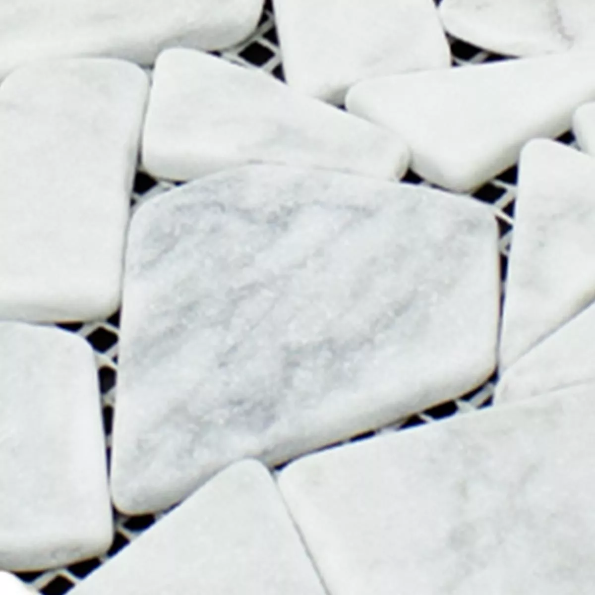Campione Marmo Rotte Mosaico Mareblu Carrara Bianco