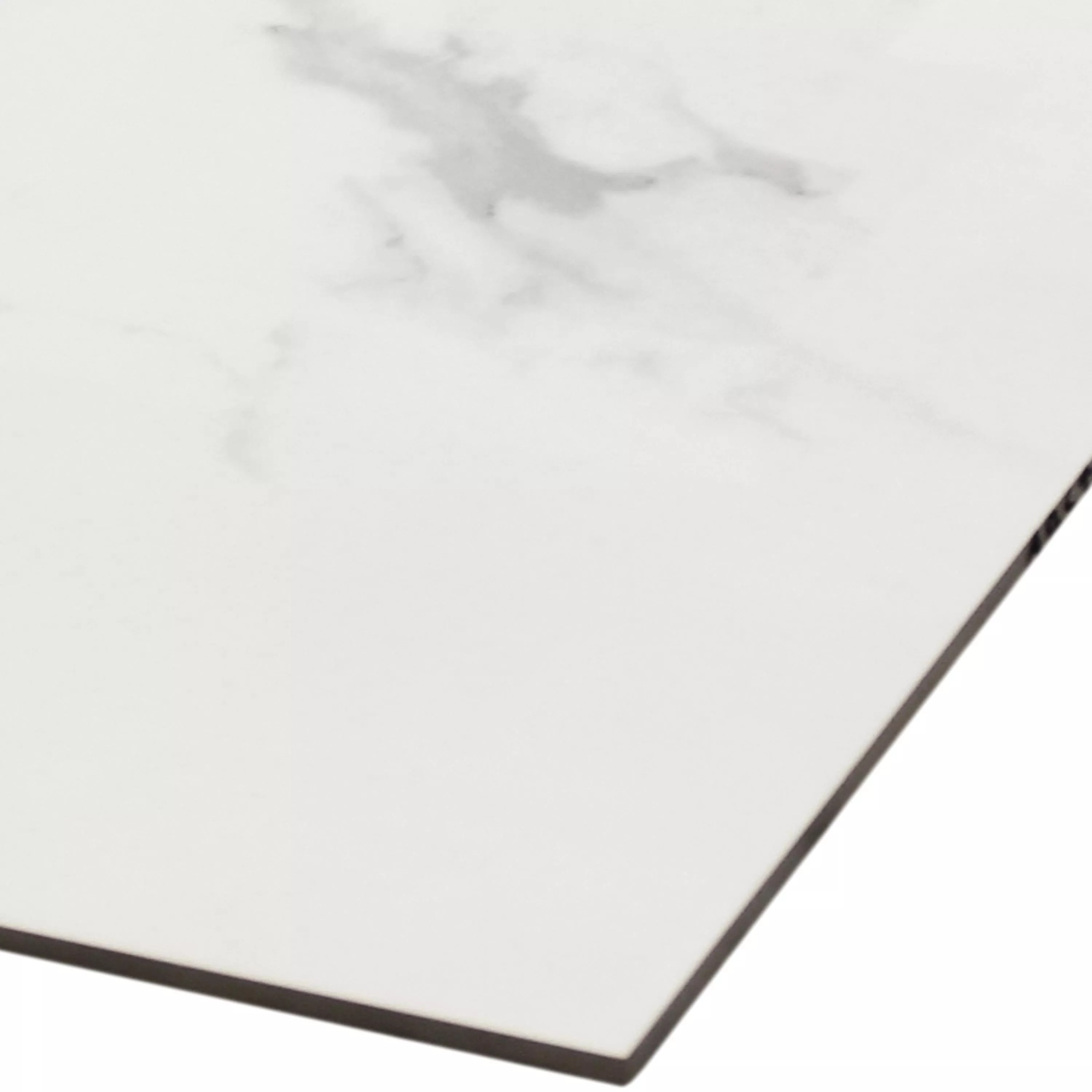 Bodenfliese Aronia Carrara Poliert 30x60cm