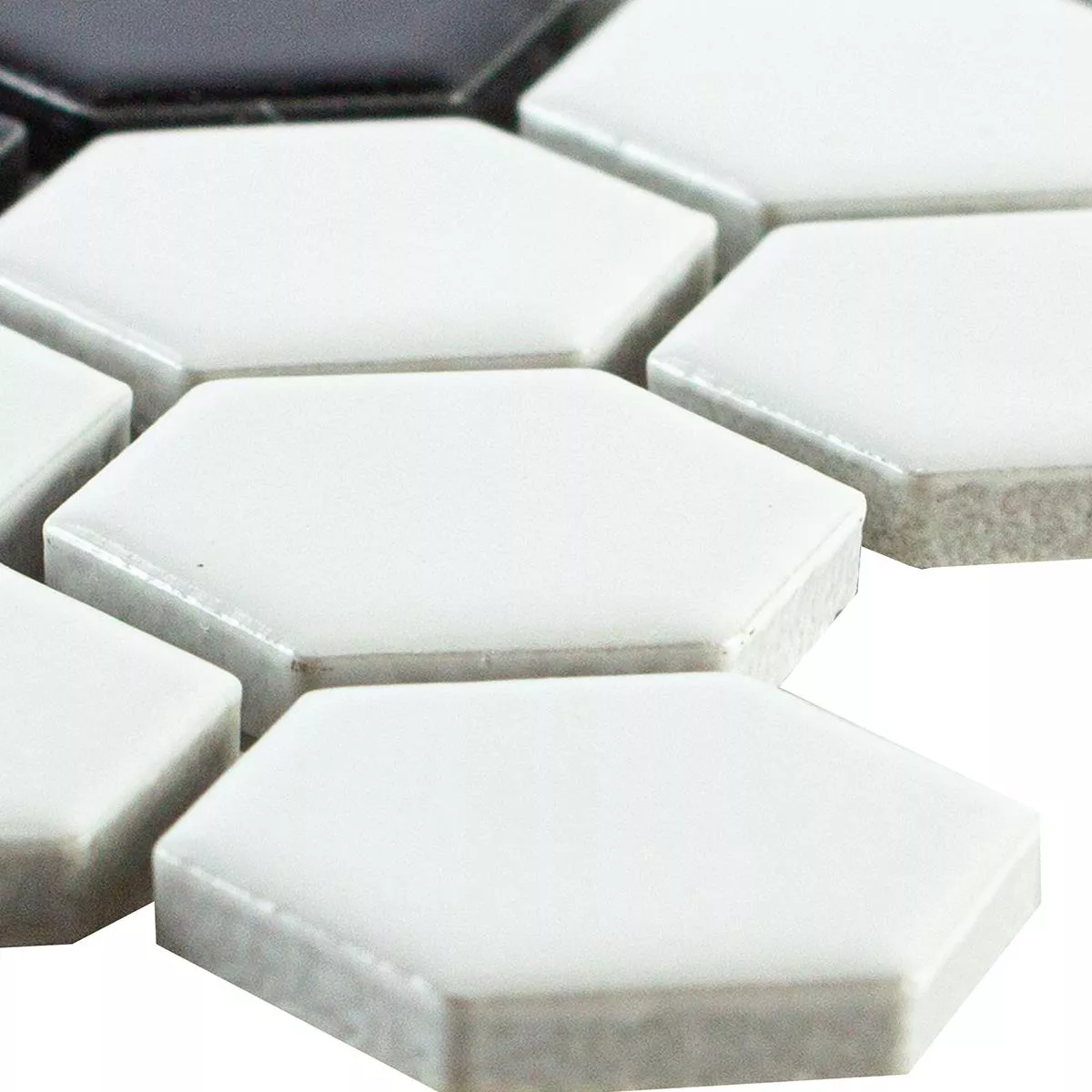 Campione Ceramica Mosaico Carlsbad Fiori Nero Bianco