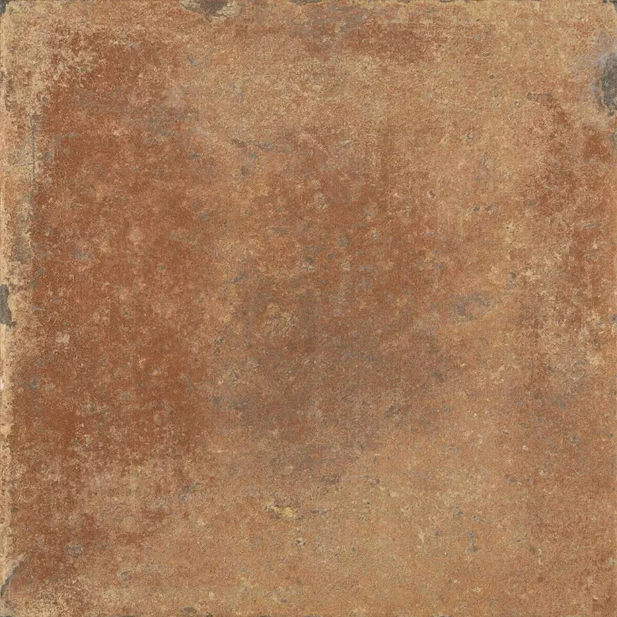 Queens Terre Cuite Brun Foncé 25x25 cm